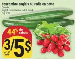 Marché Adonis concombre anglais ou radis en botte | english cucumbers or radish bunch offer
