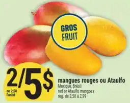 Marché Adonis mangues rouges ou Ataulfo | red or Ataulfo mangoes offer
