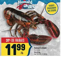 Marché Adonis homard vivant | live lobster 26,43/kg offer