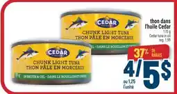 Marché Adonis thon dans l'huile Cedar | Cedar tuna in oil offer