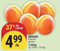 Marché Adonis abricots offer
