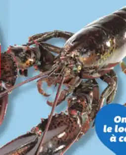 IGA LIVE LOBSTER offer