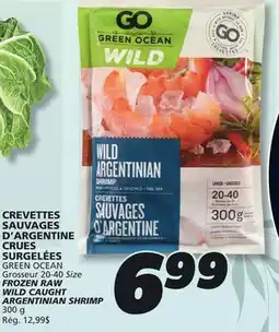 IGA GREEN OCEAN Grosseur offer