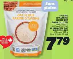 IGA ONE DEGREE ORGANIC FOODS GLUTEN-FREE OAT OR RICE FLOUR offer