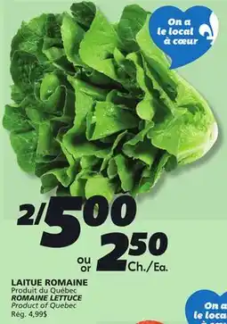 IGA ROMAINE LETTUCE offer