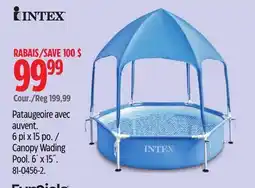 Canadian Tire Intex Canopy Wading Pool offer