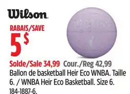Canadian Tire WNBA Heir Eco Basketball offer
