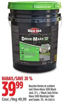 Canadian Tire Black Jack Drive- Maxx 500 Blacktop Filler and Sealer offer