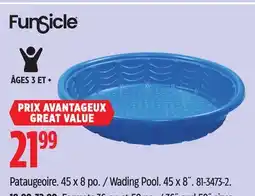 Canadian Tire Wading Pool. 45 x 8˝ offer
