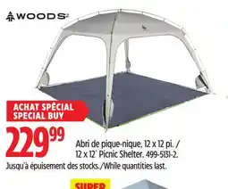 Canadian Tire 12 x 12´ Picnic Shelter offer