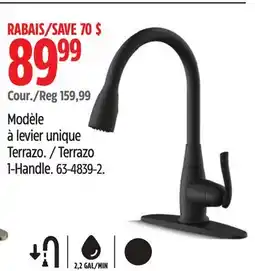 Canadian Tire Danze Terrazo 1-Handle offer