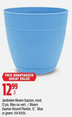 Canadian Tire Jardinière Bloem Dayton, rond, 12 po. Bleu ou vert offer