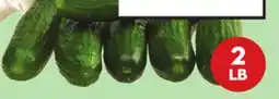 Giant Tiger 2 lb mini cucumbers offer