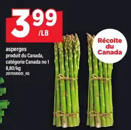 Maxi ASPERGES offer