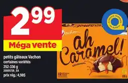 Maxi PETITS GÂTEAUX VACHON offer
