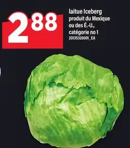 Maxi laitue Iceberg offer