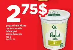 Maxi YOGOURT HALAL KHAAS | HALAL YOGURT offer
