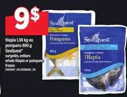 Maxi TILAPIA 1,36 KG OU POMPANO 800 G SEAQUEST | WHOLE TILAPIA OR POMPANO offer