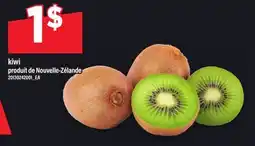 Maxi KIWI offer