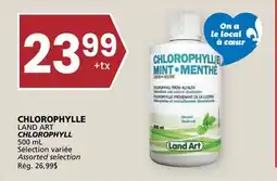 Rachelle-Bery Grocery LAND ART CHLOROPHYLL offer