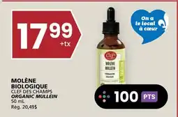 Rachelle-Bery Grocery CLEF DES CHAMPS ORGANIC MULLEIN offer