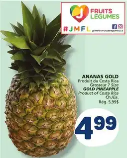 Marché Bonichoix GOLD PINEAPPLE offer