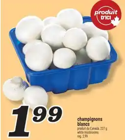 Marché Richelieu CHAMPIGNONS BLANCS | WHITE MUSHROOMS offer