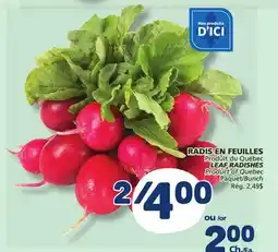 Marché Bonichoix LEAF RADISHES offer