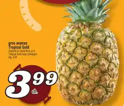 Marché Richelieu GROS ANANAS | TROPICAL GOLD LARGE PINEAPPLE offer