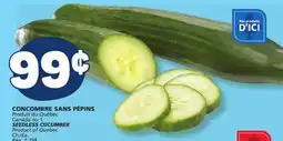 Marché Bonichoix SEEDLESS CUCUMBER offer
