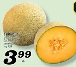 Marché Richelieu CANTALOUP | CANTALOUPE offer