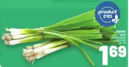 Metro OIGNONS VERTS | GREEN ONIONS offer