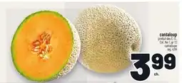 Metro CANTALOUP | CANTALOUPE offer
