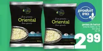 Metro GERMES DE HARICOT | BEAN SPROUTS offer