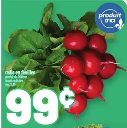 Metro RADIS EN FEUILLES | BUNCH RADISHES offer