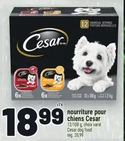Metro NOURRITURE POUR CHIENS CESAR | CESAR DOG FOOD offer