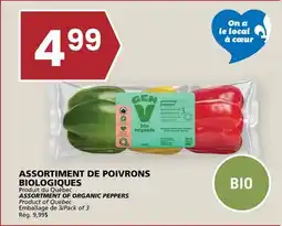 Rachelle-Bery Grocery ASSORTMENT OF ORGANIC PEPPERS offer