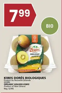 Rachelle-Bery Grocery ZESPRI ORGANIC GOLDEN KIWIS offer