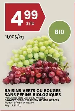 Rachelle-Bery Grocery ORGANIC SEEDLESS GREEN OR RED GRAPES offer
