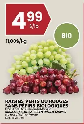 Rachelle-Bery Grocery ORGANIC SEEDLESS GREEN OR RED GRAPES offer