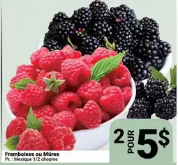 Pasquier Framboises ou Mûres offer
