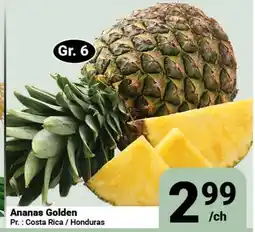 Pasquier Ananas Golden offer