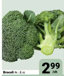 Pasquier Brocoli offer