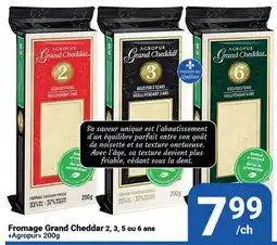 Pasquier Fromage Grand Cheddar 2, 3, 5 ou 6 ans Agropur offer