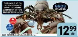 Pasquier Gros homard vivant offer