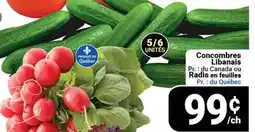 Pasquier Concombres Libanais Radis enracine offer