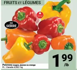 Pasquier Poivrons rouges, jaunes ou orange offer