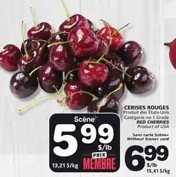Marches Tradition RED CHERRIES offer