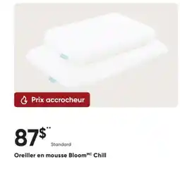 Dormez Vous Oreiller en mousse Bloom Chill offer