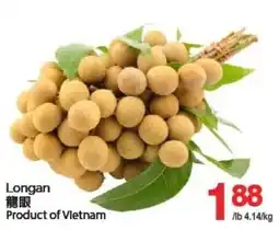 T&T Supermarket Longan 龍眼 offer